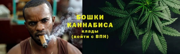 сатива Армянск