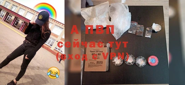 сатива Армянск